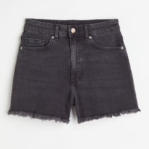 High Waist Denim Shorts